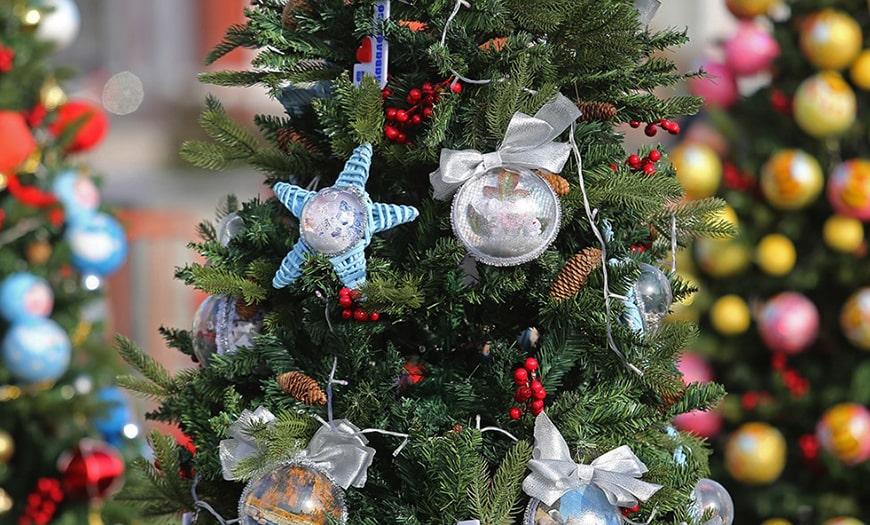 Как украсить елку к Новому году 2022: 180 фото Как украсить красивую новогоднюю елку